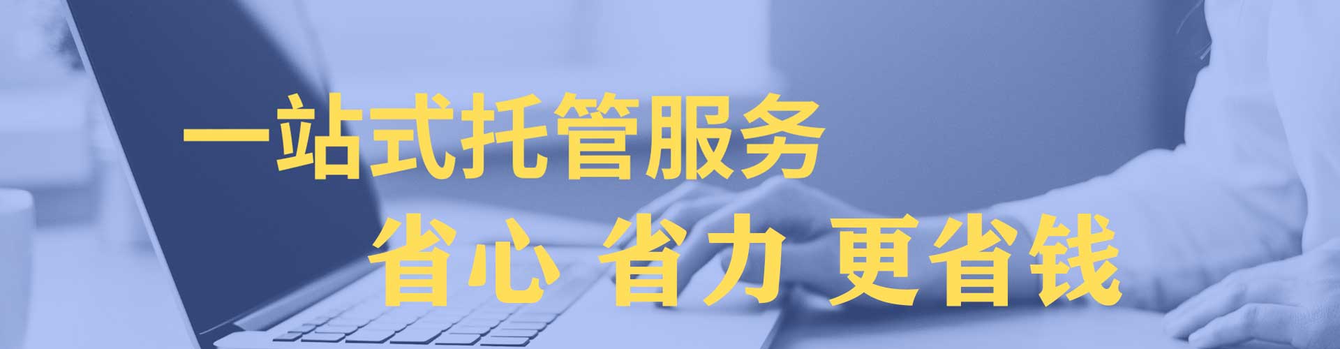 鼎湖sem投放
